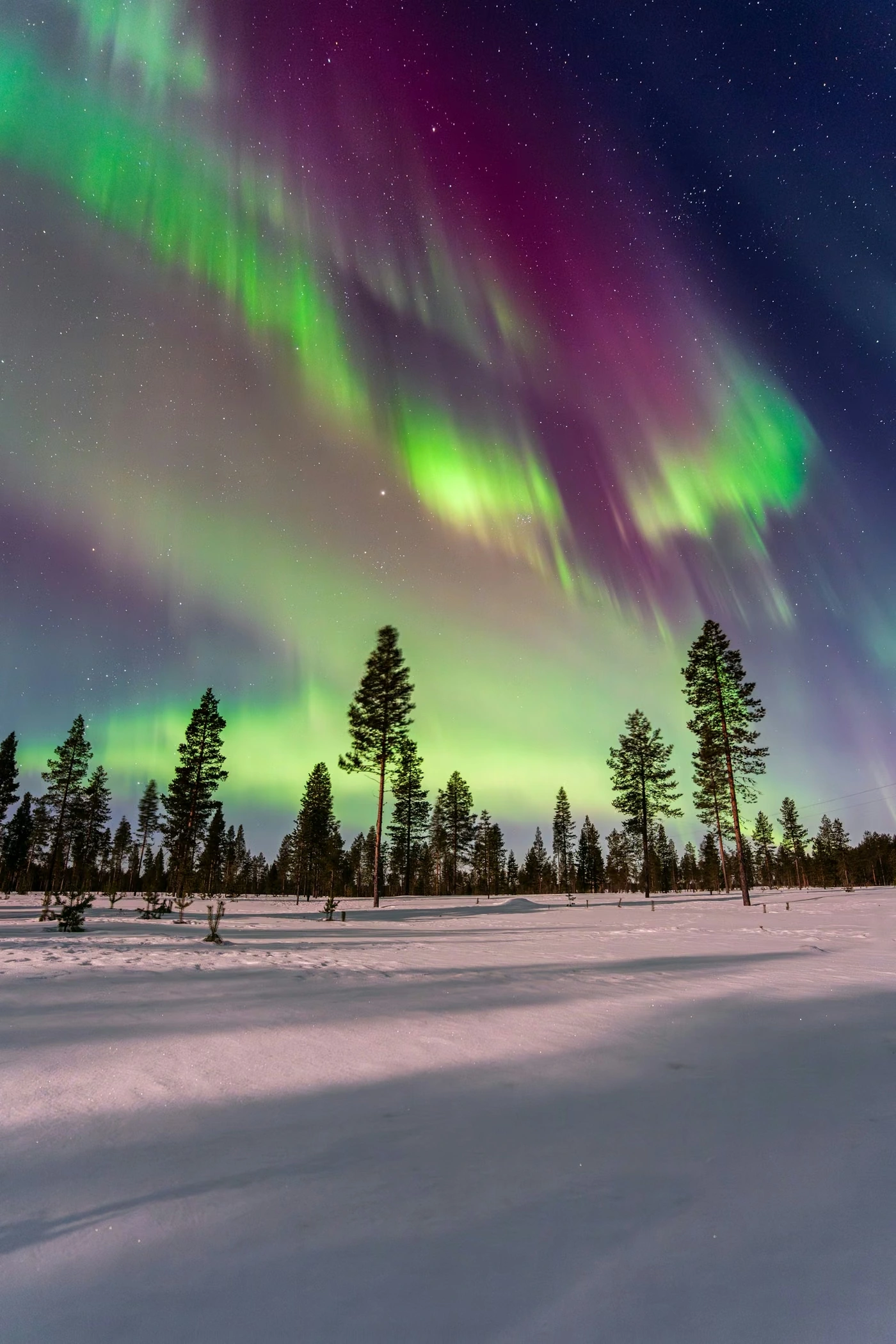 Aurores boréales au-dessus des paysages enneigés de Laponie